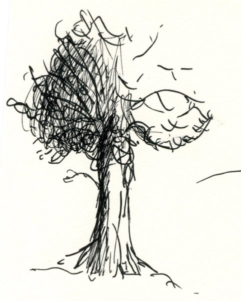 tree