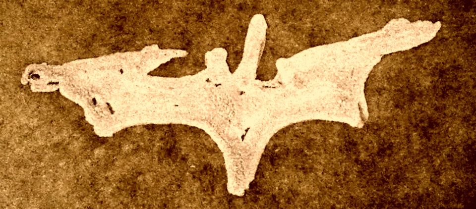 bat