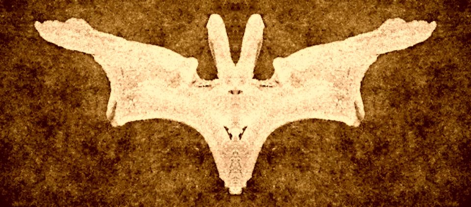 bat