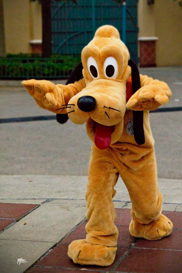 Disney world