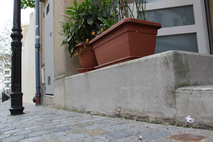 Du haut de mes 30 centimères (by REX)