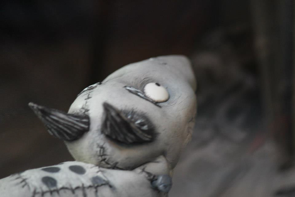 Frankenweenie
